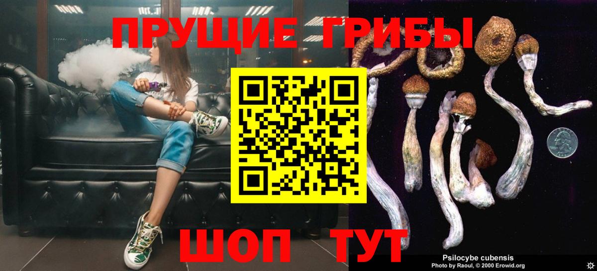 Псилоцибиновые грибы ЛСД  где купить наркоту  Галлюциногенные грибы MAGIC MUSHROOMS  Бугульма  Вход с VPN 